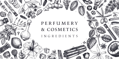 Perfumery and cosmetics ingredients banner. Flower, fruit, spice, herb sketches. Hand drawn vector illustration. Cosmetics design template. Aromatic plants background